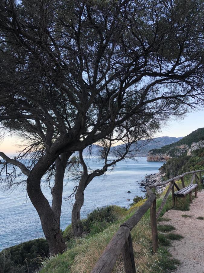 Cala Gonone, Casa I Pini Lejlighed Eksteriør billede