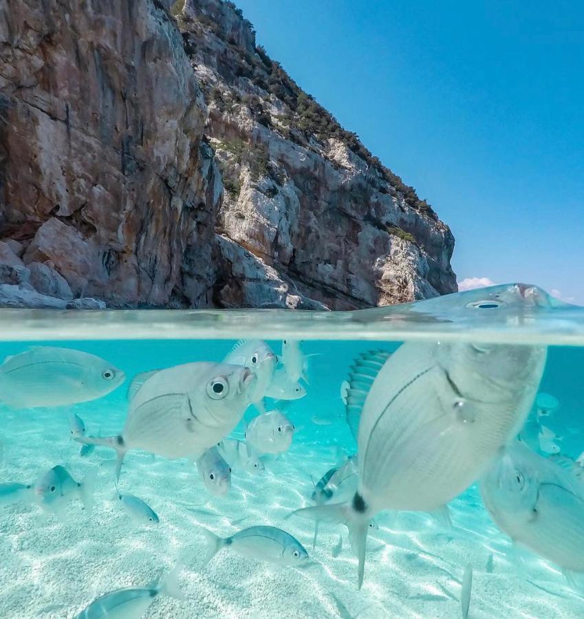 Cala Gonone, Casa I Pini Lejlighed Eksteriør billede