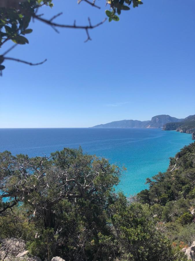 Cala Gonone, Casa I Pini Lejlighed Eksteriør billede