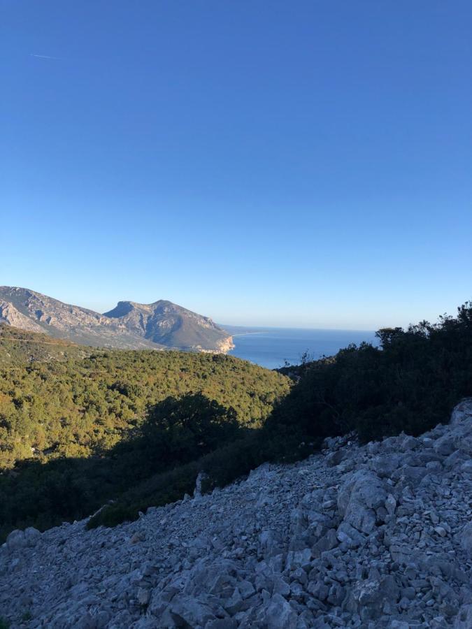 Cala Gonone, Casa I Pini Lejlighed Eksteriør billede