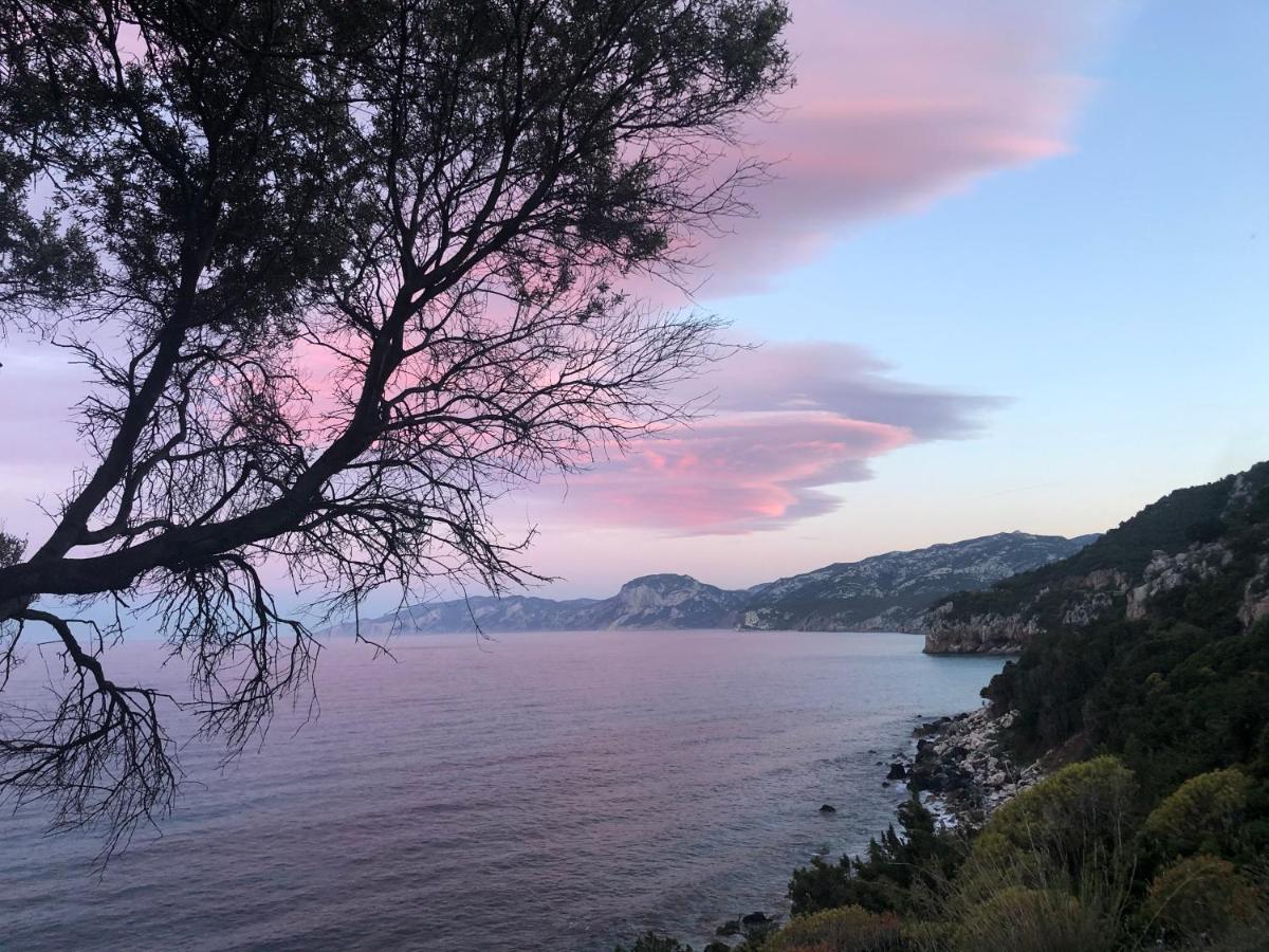 Cala Gonone, Casa I Pini Lejlighed Eksteriør billede