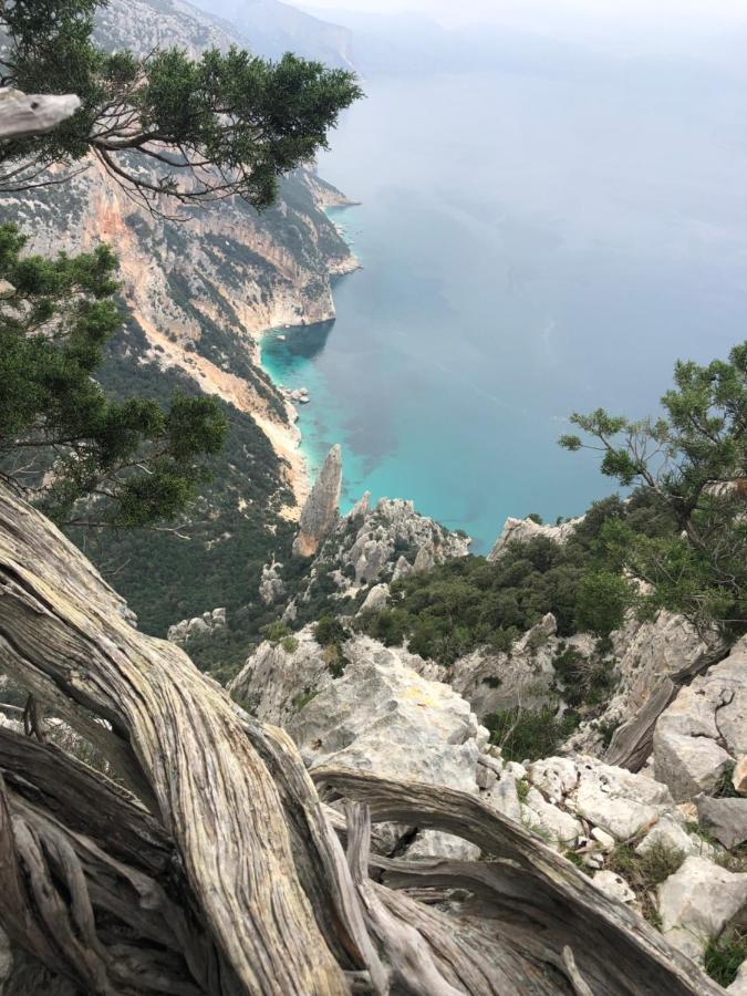 Cala Gonone, Casa I Pini Lejlighed Eksteriør billede